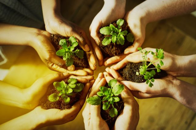 Consultoria Ambiental para Construtoras, Indústrias, Comércios e Serviços: Soluções Sustentáveis e Eficazes